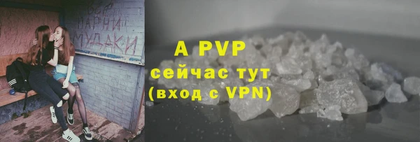 apvp Алзамай